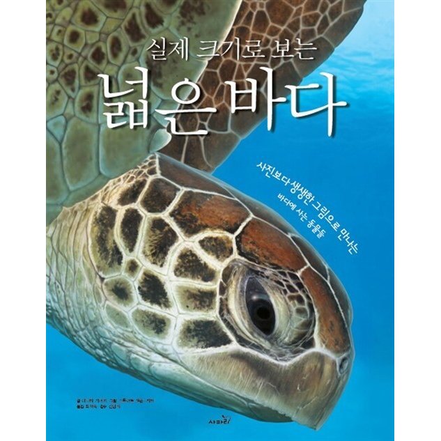 韓国語 幼児向け 本 『実際のサイズで見る広い海』 韓国本