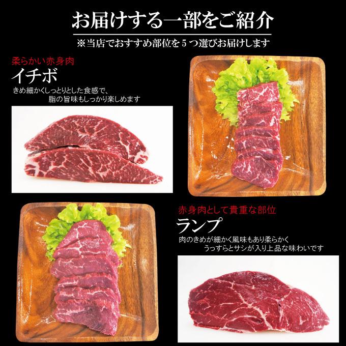 お中元 夏ギフト プレゼント送料無料 嬉しいプレゼントにも牛肉焼肉カルビ食べ比べ５点盛り合わせ　2セット同時購入で肉500ｇ増量中　サーロイン霜降り