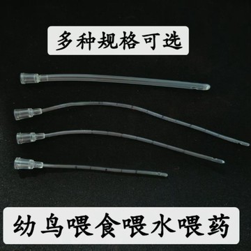 💥臺灣有貨💥免運💥鳥鸚鵡寵物胃管 餵食器 流食器 餵奶水幼貓咪犬狗狗喂鸚鵡鴿子💥可開票