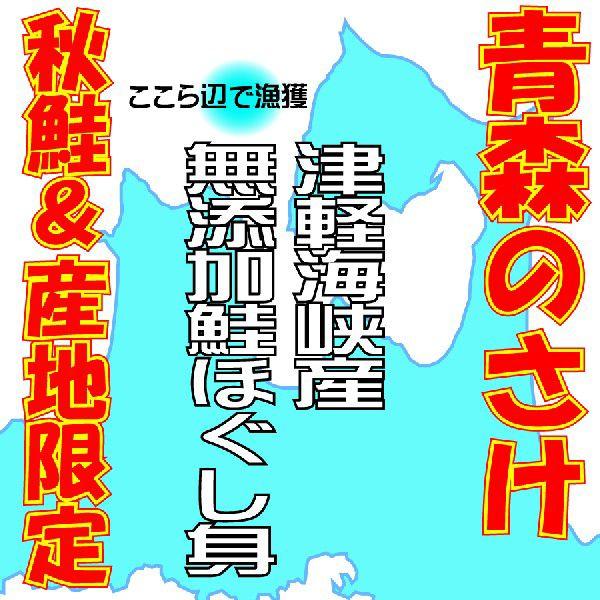 青森県産　鮭ほぐし身（鮭フレーク）　１ｋｇ　（冷凍品）