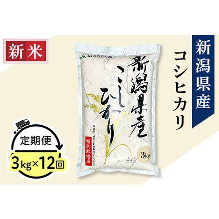 ふるさと納税 75-3N03Z新潟県長岡産コシヒカリ3kg（特別栽培米） 新潟県長岡市