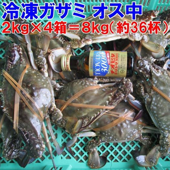 魚介類 カニ 冷凍 ワタリガニ オス中サイズ８ｋｇ約36杯 渡り蟹 ガザミ 産地直送