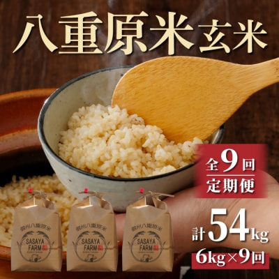 八重原米 玄米 6kg (2kg×3袋)