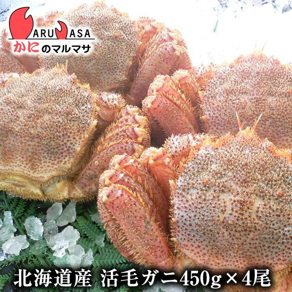 活毛がに 450g 4尾セット 北海道産 極上毛ガニ お歳暮 ギフト お土産 通販