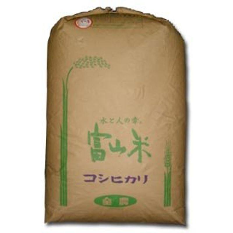 玄米 富山県 入善産 コシヒカリ 令和4年産 (玄米, 10kg)