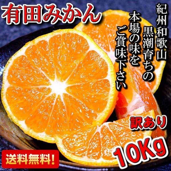 みかん 有田みかん 訳あり 10kg 通常販売開始　和歌山県産 送料無料(北海道、沖縄県、東北地方除く) ミカン みかん 蜜柑 温州みかん ご自宅用 家庭用 産地直送