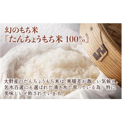 ふるさと納税 福井県 大野市 「杵つきお餅バラエティーセット」 大野産たんちょうもち米使用 【12月20日までの入金確認分は年内お届…