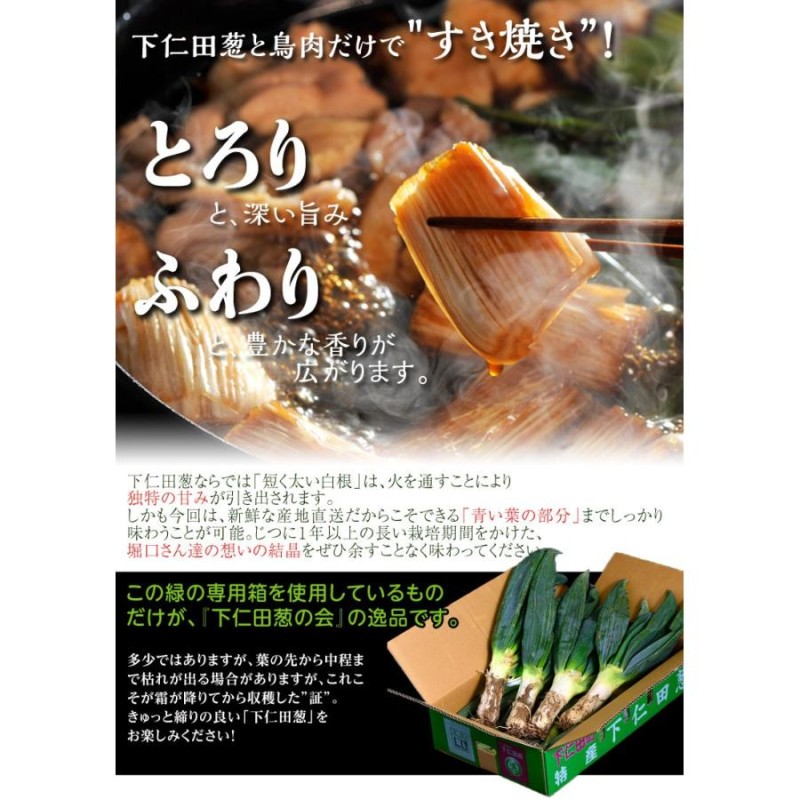 下仁田葱の会 堀口さんグループの下仁田葱 群馬県下仁田町産 2Lサイズ 8本 送料無料 | LINEショッピング