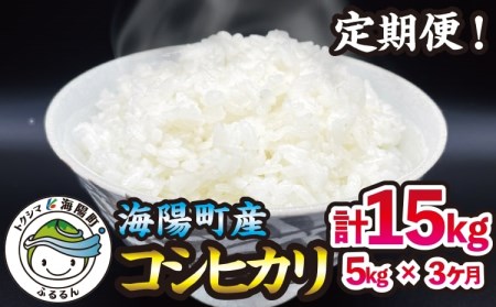  新米 コシヒカリ 5kg×3回 15kg 海陽町産 こしひかり 米 お米 令和5年 定期便 3ヶ月 連続 海陽町産 コシヒカリ 5kg 3回