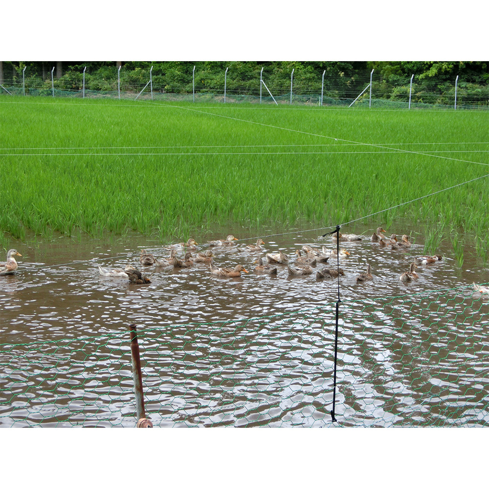 長野県産 特別栽培米 ミルキークイーン