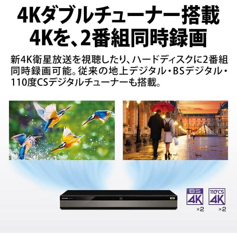 シャープ 2TB 3番組同時録画 4K ブルーレイレコーダー 4B-C20DT3 4K