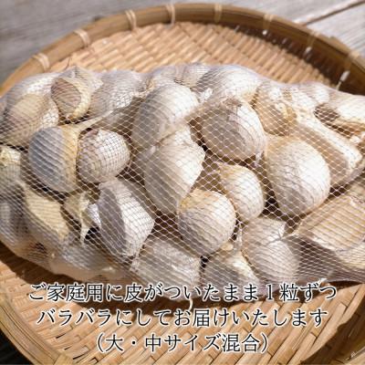 ふるさと納税 田子町 青森県田子町産バラにんにく(大・中サイズ混合)　1kg