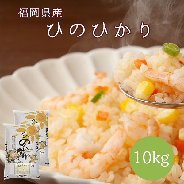 お米 10kg 新米 白米 送料無料 令和5年産 福岡県産 ひのひかり 和食 洋食 合うお米