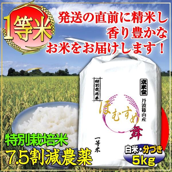 お米 5kg 白米 玄米 ほむすめ舞 一等米 分づき可能 特別栽培米 令和4年産米