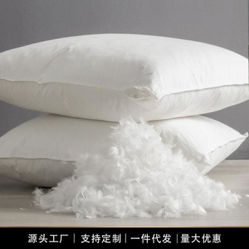鵝毛羽絨抱枕芯內膽45x45 50方形羽毛靠枕芯酒店沙發腰靠背靠墊芯