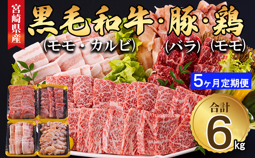 宮崎県産 焼肉 セット 黒毛和牛 モモ カルビ 豚バラ 若鶏 モモ 合計6kg