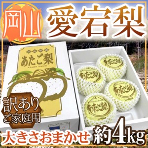 岡山産 ”愛宕梨” 訳あり 大きさおまかせ 約4kg 産地化粧箱 あたご梨 送料無料