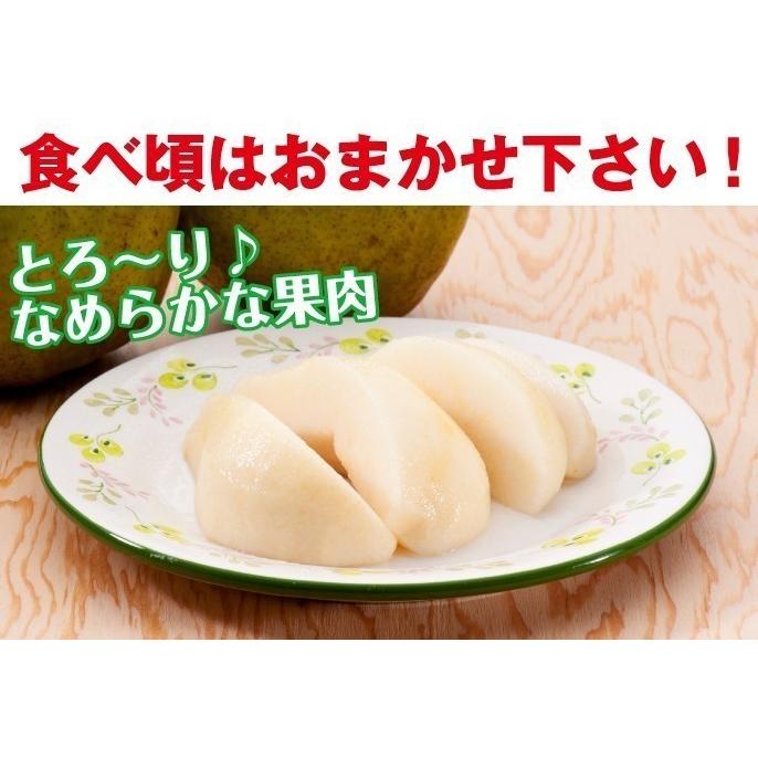 ギフト ラ・フランス 送料無料 洋梨 山形県産 3.2kg（10玉）3Lラフランス