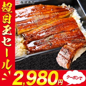 うなぎ 巨大 うなぎ蒲焼 1尾 約400g 無頭 ウナギ 鰻 蒲焼 かば焼き のし対応可能 送料無料 冷凍便 土用の丑の日 海鮮 土用の丑の日 プレ