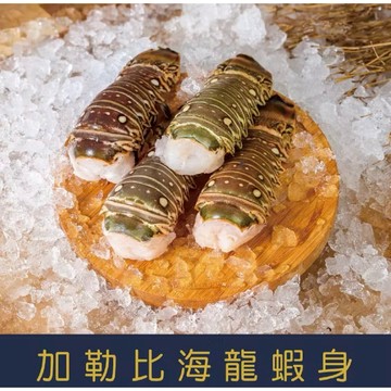 【就是愛海鮮】中秋烤肉必備【3盎司】野生頂級龍蝦身/一隻[量大可配合批發/團購]