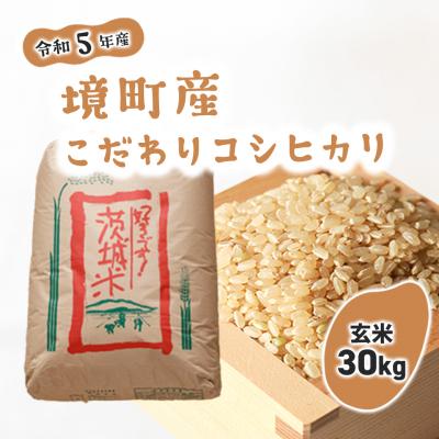 ふるさと納税 境町 境町のこだわり玄米「コシヒカリ」30kg