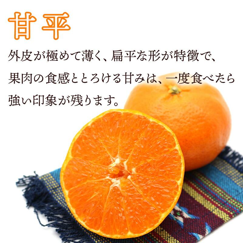   フルーツ 愛媛県産 せとか   甘平 約2kg （ L〜２Lサイズ せとか4玉   甘平4玉 計8玉 ） 果物 柑橘 みかん 食べ比べ 送料無料 NENP013