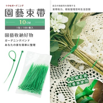 dayneeds 園藝束帶 100條/包 綁線帶/塑膠束帶/尼龍束帶/尼龍紮線帶