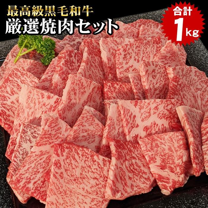 焼肉 食べ比べ 最高級 黒毛和牛 店長厳選 おまかせ焼肉セット 1kg 5種類入り バーベキュー 肉 セット 福袋 BBQ メガ盛り