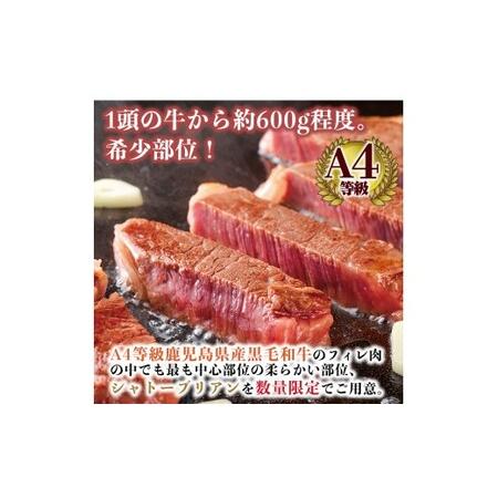 ふるさと納税 a269 A4等級鹿児島県産黒毛和牛！希少な牛肉！シャトーブリアン 100g×2(計200g) 鹿児島県姶良市