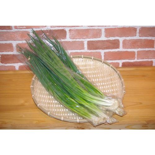 高知の旬の野菜詰め合わせセット!!