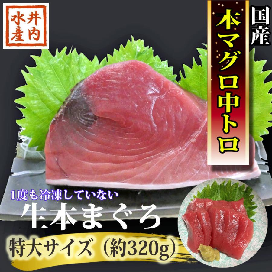 マグロ まぐろ 生本マグロ マグロ刺身 まぐろ 中トロ ブロック　冷蔵マグロ 320g 国産 本まぐろ 絶品中トロ ブロック 皮付き