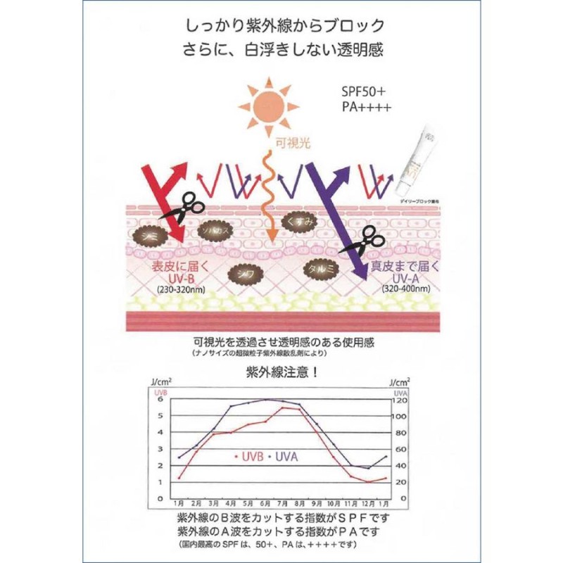 綺羅化粧品（キラ化粧品 kira化粧品）デイリーブロック50