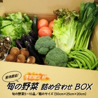  産地直送 ！ 旬 の 産直 野菜 セット 詰め合わせ  BOX 新鮮 詰合せ つめあわせ 直送 茨城 茨城県 おまかせ [CN001ya]