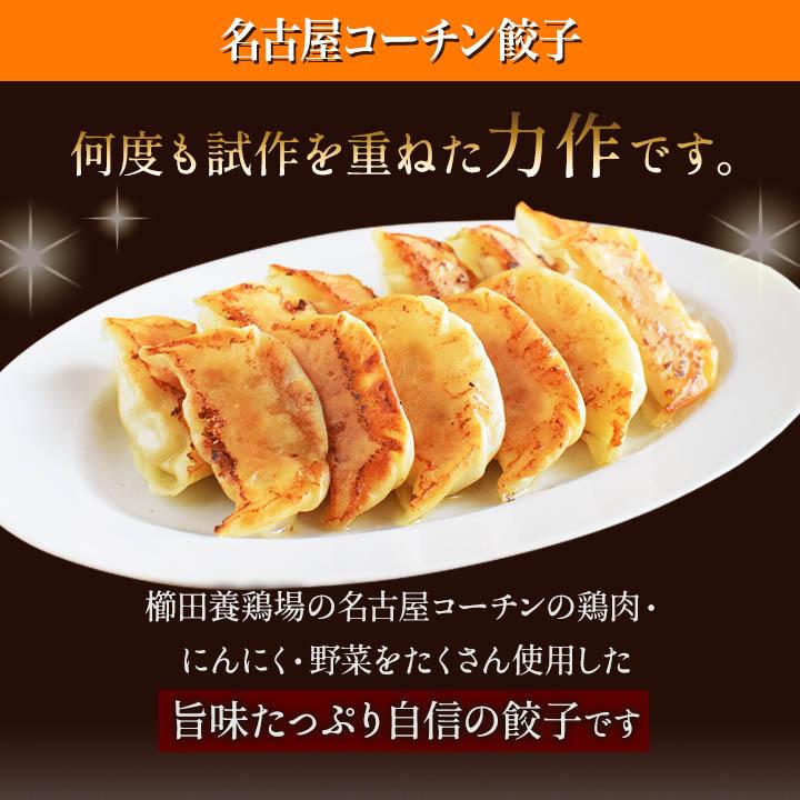 鶏餃子 ニ種を1度に食べ比べ！ 名古屋コーチン餃子  しそ餃子 餃子 しそ 冷凍餃子 生餃子 国産 鶏肉 送料無料