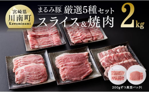 宮崎ブランド豚まるみ豚厳選！ 精肉５種セット （１０パック） 肉 豚 豚肉 [E0312]