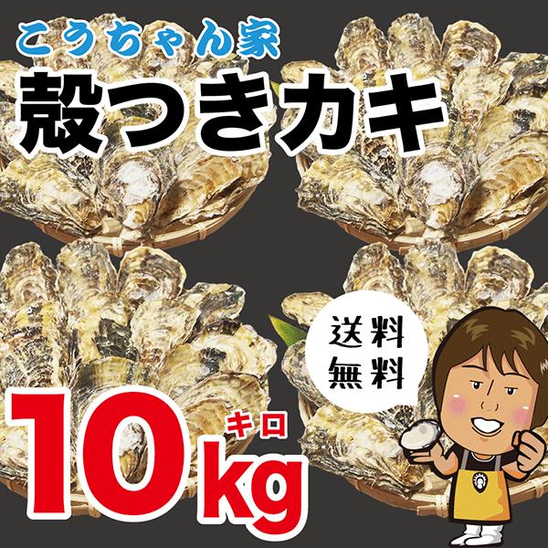 殻付牡蠣１０kg　坂越産