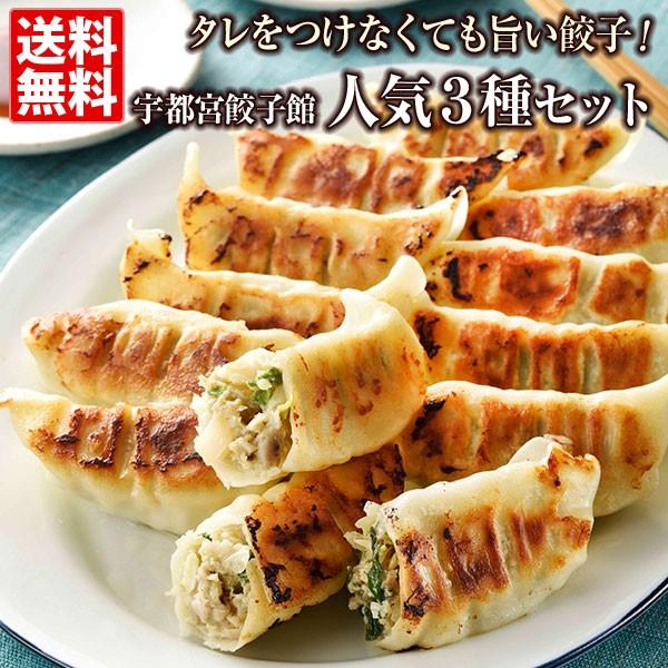 宇都宮餃子館人気の3種セット 送料無料 48個（16個×3種）