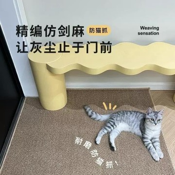 2024新款入戶門仿劍麻地毯客廳防貓抓地墊地毯耐磨玄關書房靜音墊