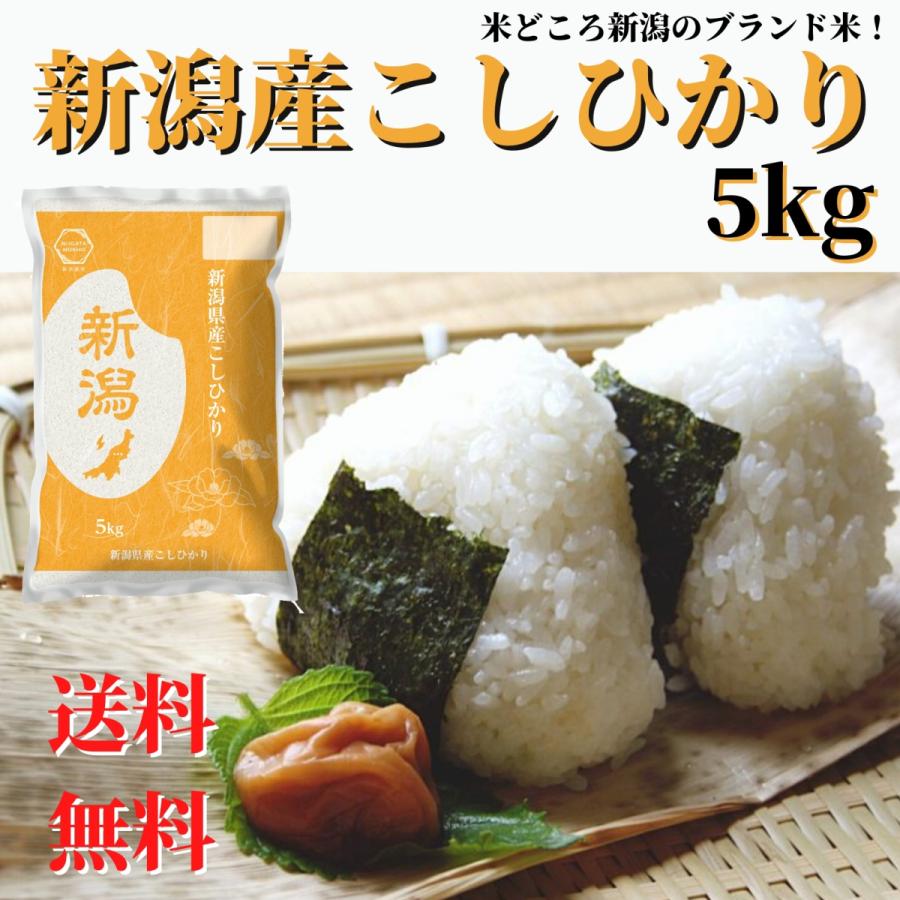 新米 令和５年産 お米 5kg 白米 送料無料 新潟産 コシヒカリ 精米