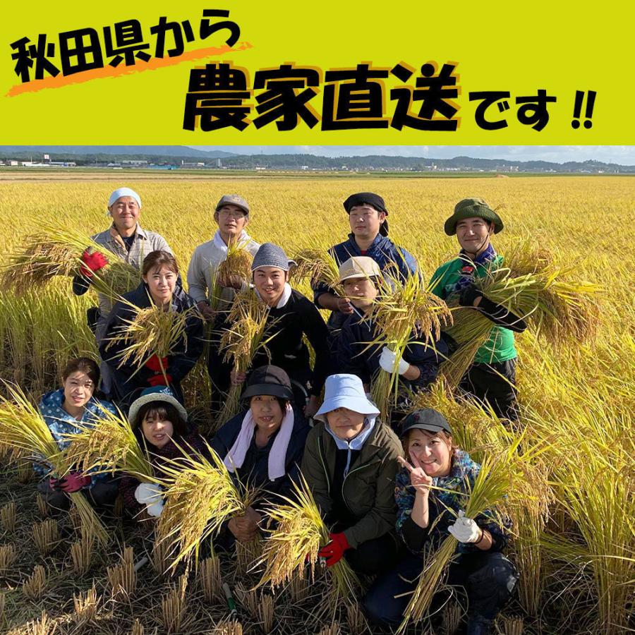 新米 米 お米 米10kg （5kg×2袋） 無洗米 あきたこまち 令和5年産 秋田県産 農家直送 御縁米（縁結び）150g付き