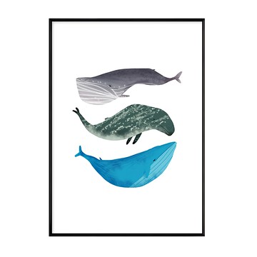 白日夢小鯨魚  59.4 x 42cm  黑色
