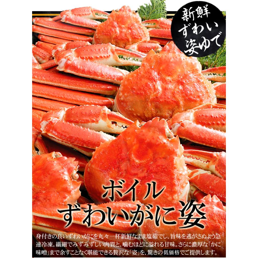 かに 3kg ボイルずわいがに 姿 大特価 メガ盛 6~8尾 蟹 ゆでがに 送料無料 冷凍便 食品