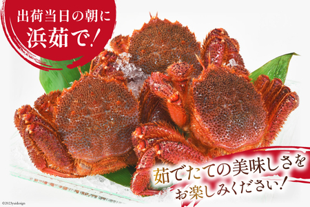 ＜先行予約＞かに 三陸産浜ゆで毛ガニ 約500g×2 計1kg [村東商店 宮城県 気仙沼市 20562147] 冷蔵 カニ 毛がに 魚介 海鮮 毛ガニ 毛蟹 毛がに 蟹