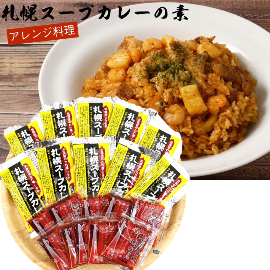 札幌スープカレーの素 スープカレーの素 辛味の素付き 20食分 セット （スープカレーの素5P×4、辛味の素5P×4） スープカレー 北海道 メール便 送料無料