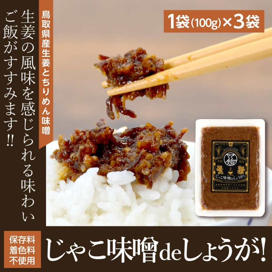 生姜 じゃこ味噌deしょうが! 3袋セット 1袋(100g) ご飯のお供 鳥取県産 国産 無添加 じゃこ 味噌 調味料 ギフト