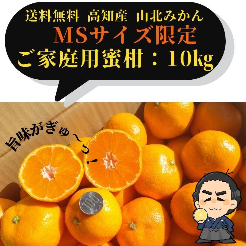 山北みかんMSサイズ限定　10kg　みかん蜜柑　中級品　高知産