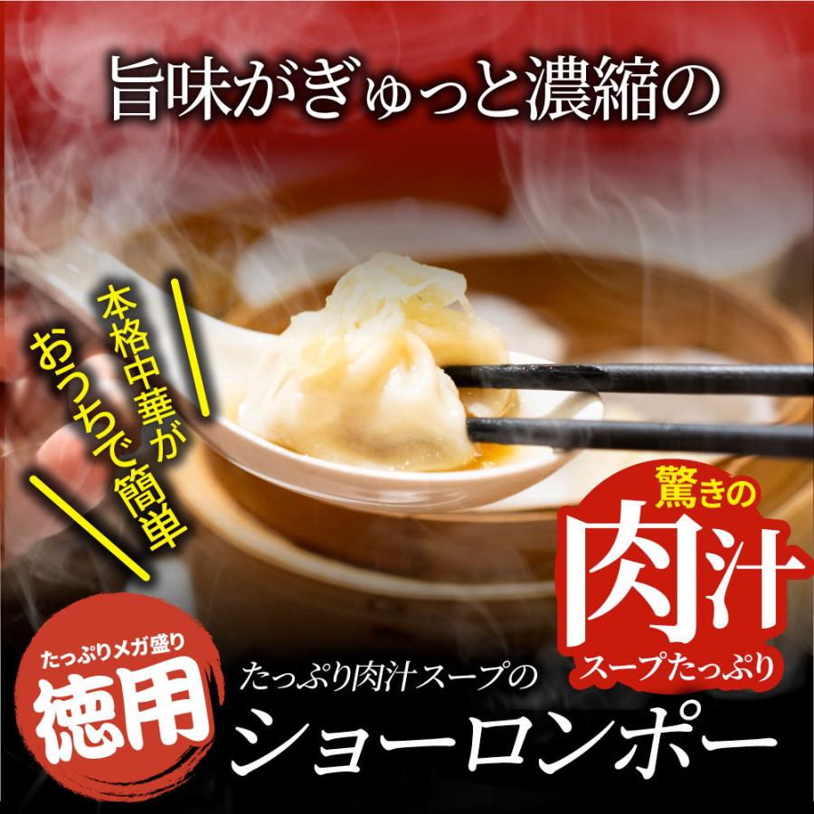 小籠包 ショーロンポー 中華 20個入り 500g 点心 中華料理 惣菜 温めるだけ レンジ 冷凍 お弁当 あす楽 業務用 温めるだけ レンチン 冷食 送料無料