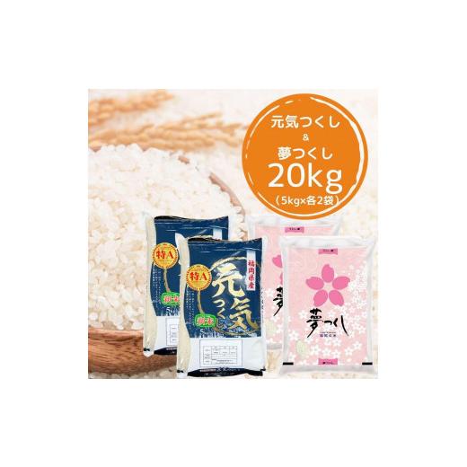 ふるさと納税 福岡県 筑前町 ＜新米・令和5年産＞福岡県産米食べ比べ 白米セット「夢つくし」「元気つくし」2種類　計20kg ＜筑前町＞