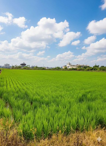 宜蘭市一甲多好規劃漂亮農地～永慶旺傑｜宜蘭縣宜蘭市梅洲段