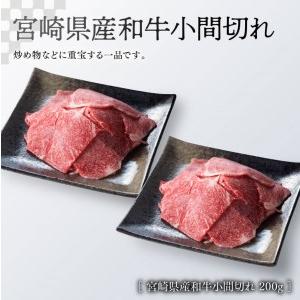 ふるさと納税 ※令和6年2月より順次発送※宮崎牛 肩ロース 焼肉 300g(宮崎県産 和牛 こま切れ 200g)計500g【牛 肉 牛肉 牛 肩ロース.. 宮崎県川南町